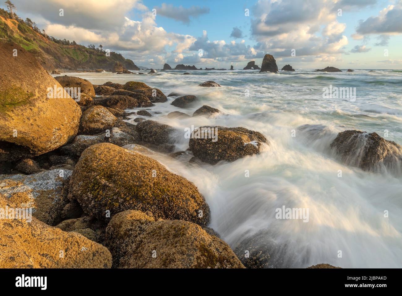 USA, Oregon, Clatsop County, West Coast, Oregon Coast, Cannon Beach, Ecola State Park Stock