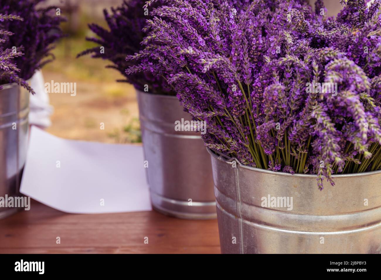 Bunches of Purple Lavender in Metal Buckets For Sale Stock Photo