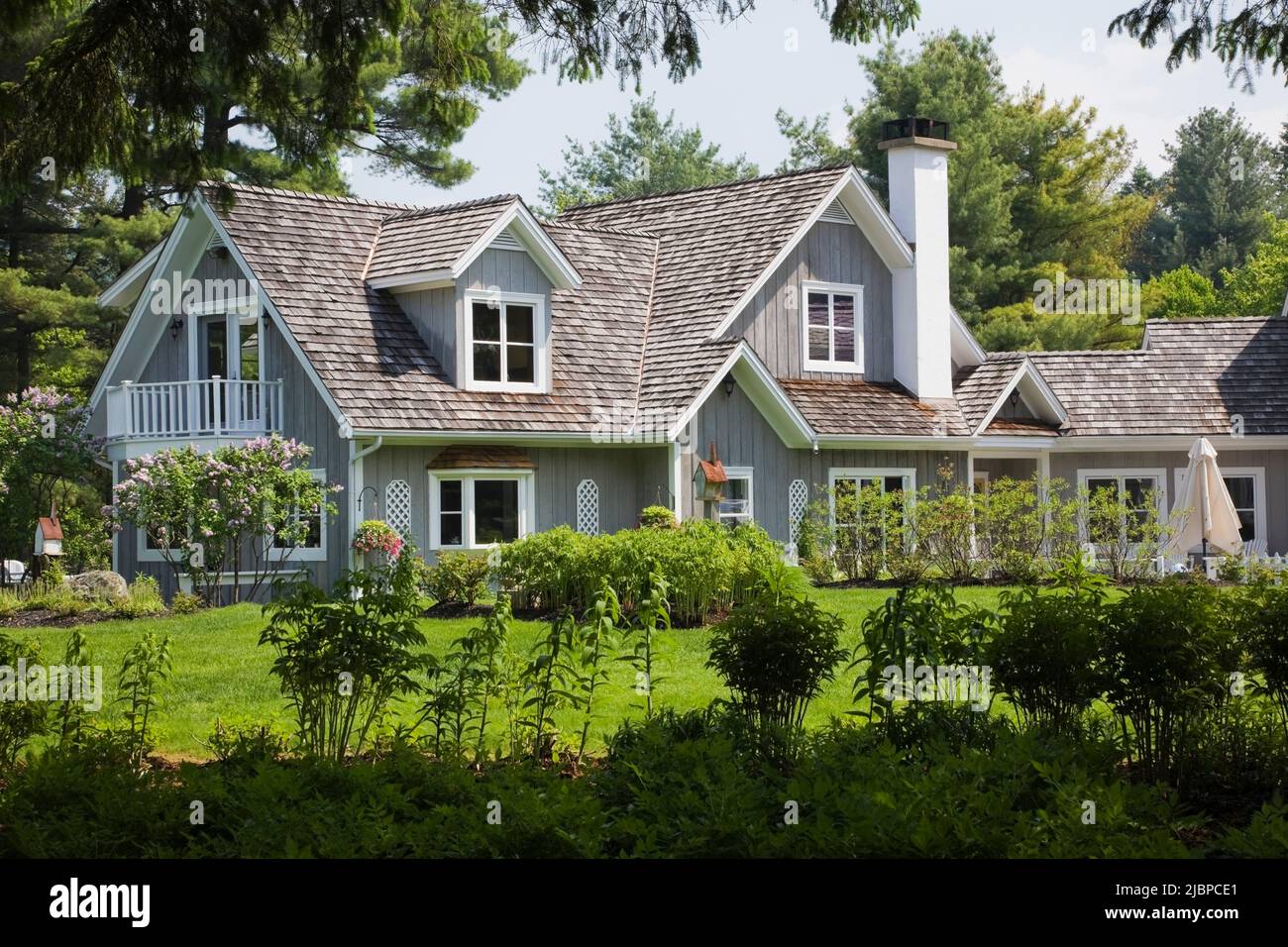 New Hampton cottage style home framed by shrubs and Pinus - Pine tree branches in spring. Stock Photo