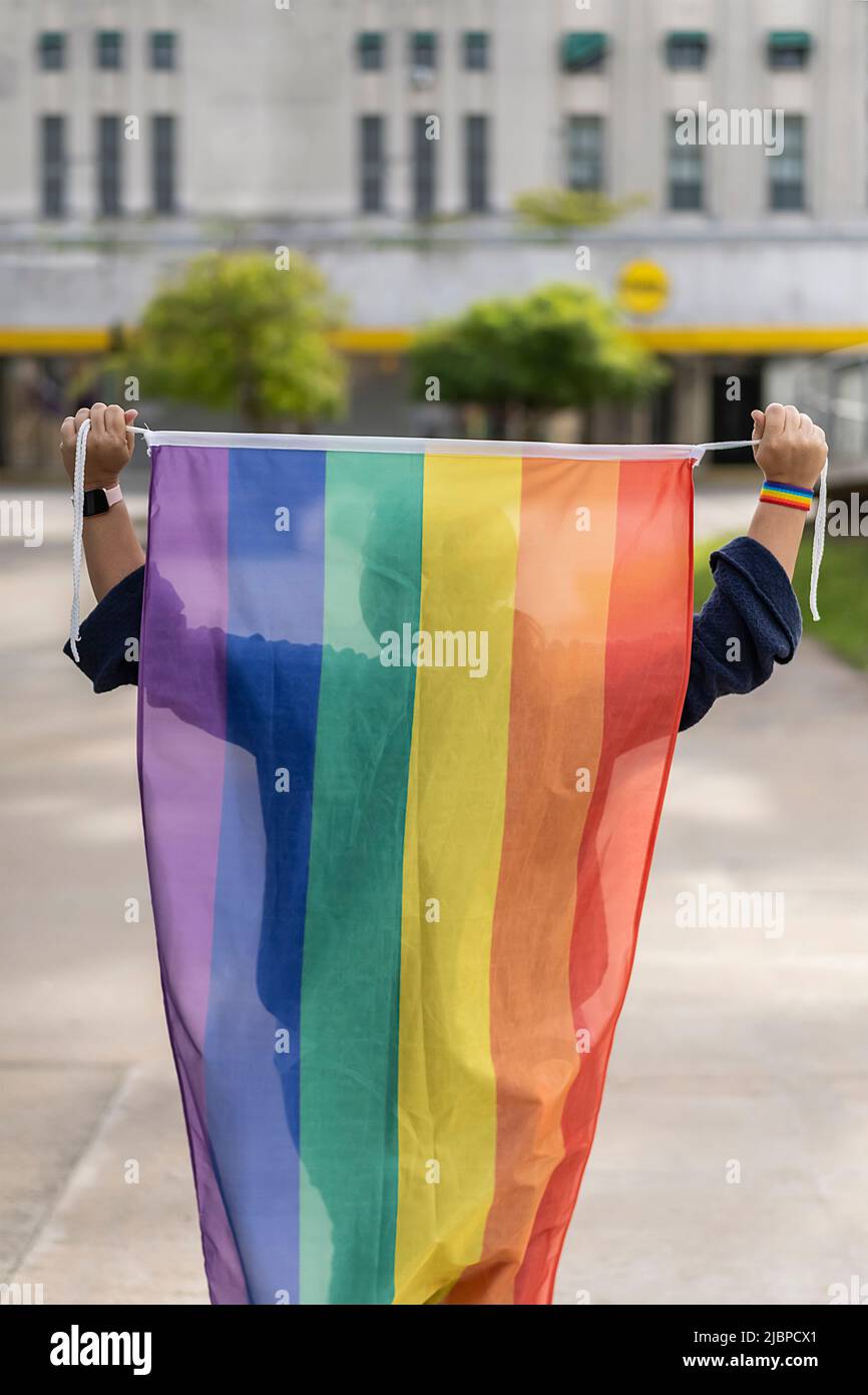Woman from the back holding lgbt flag Stock Photo