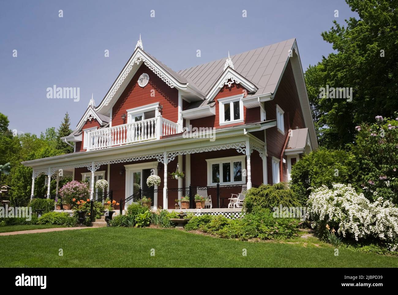 Burgundy with white trim Victorian cottage style home bordered by Spiraea x vanhouttei 'Van Houtte' - Spirea, Syringa vulgaris - Lilac tree in spring. Stock Photo