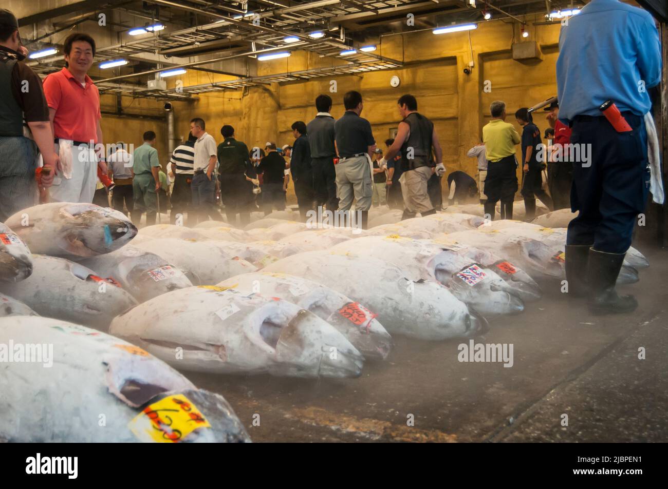 Tsukiji Fish Market, Tokyo Stock Photo - Alamy