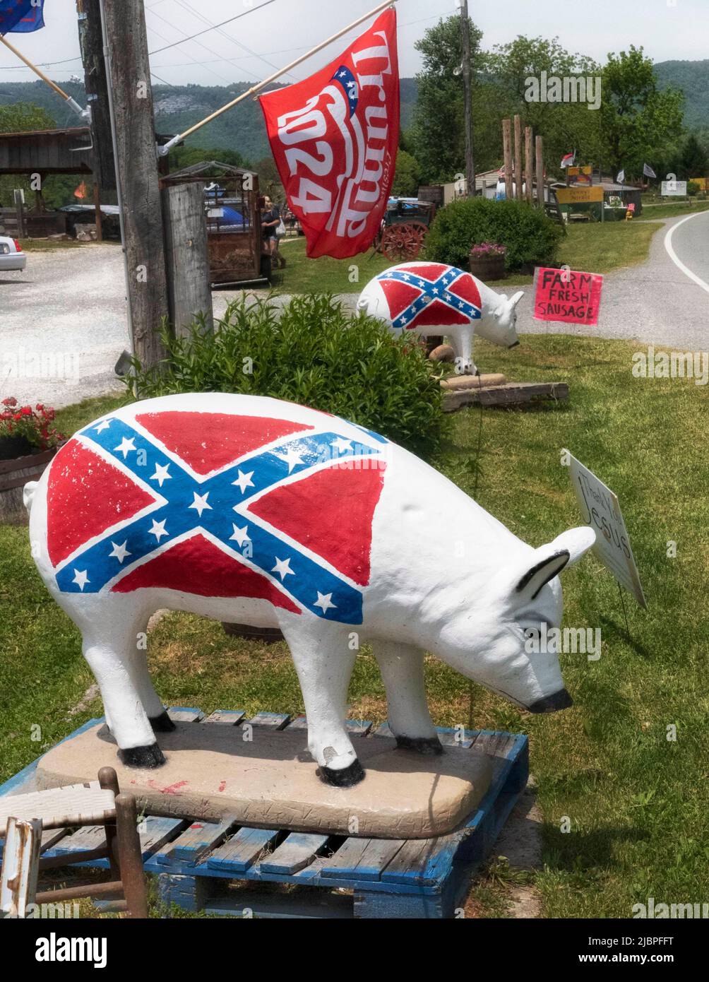 Confederate Pig yard art piece North Carolina Lifestyle image Mt. Airy NC Stock Photo Alamy
