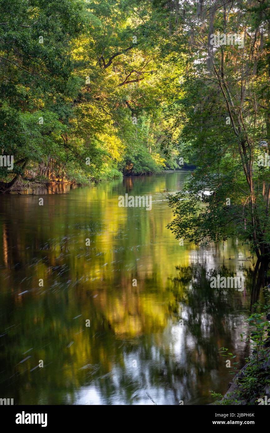 Early morning photo of the Edisto River in Orangeburg, South Carolina with beautiful reflections