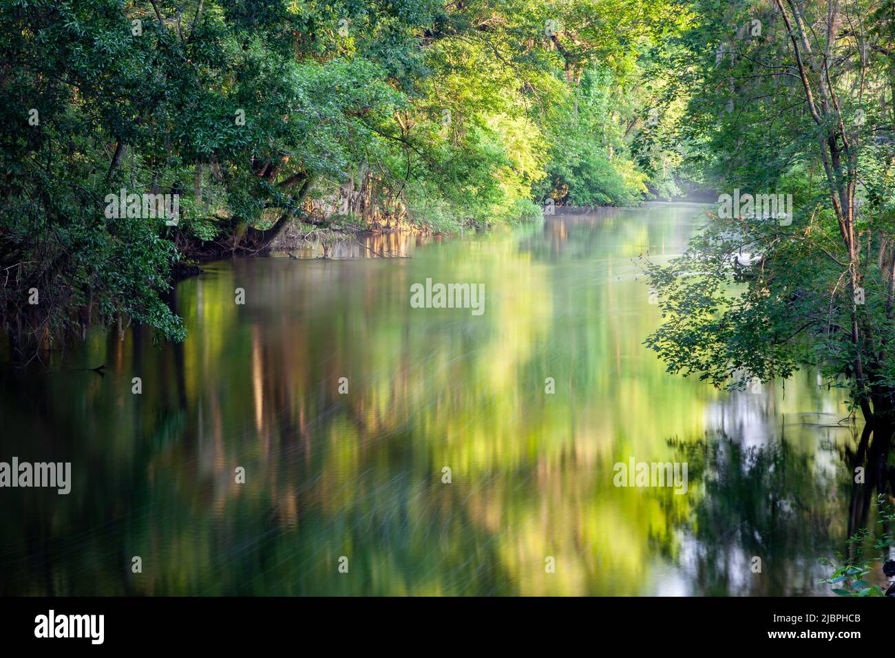 Early morning photo of the Edisto River in Orangeburg, South Carolina
