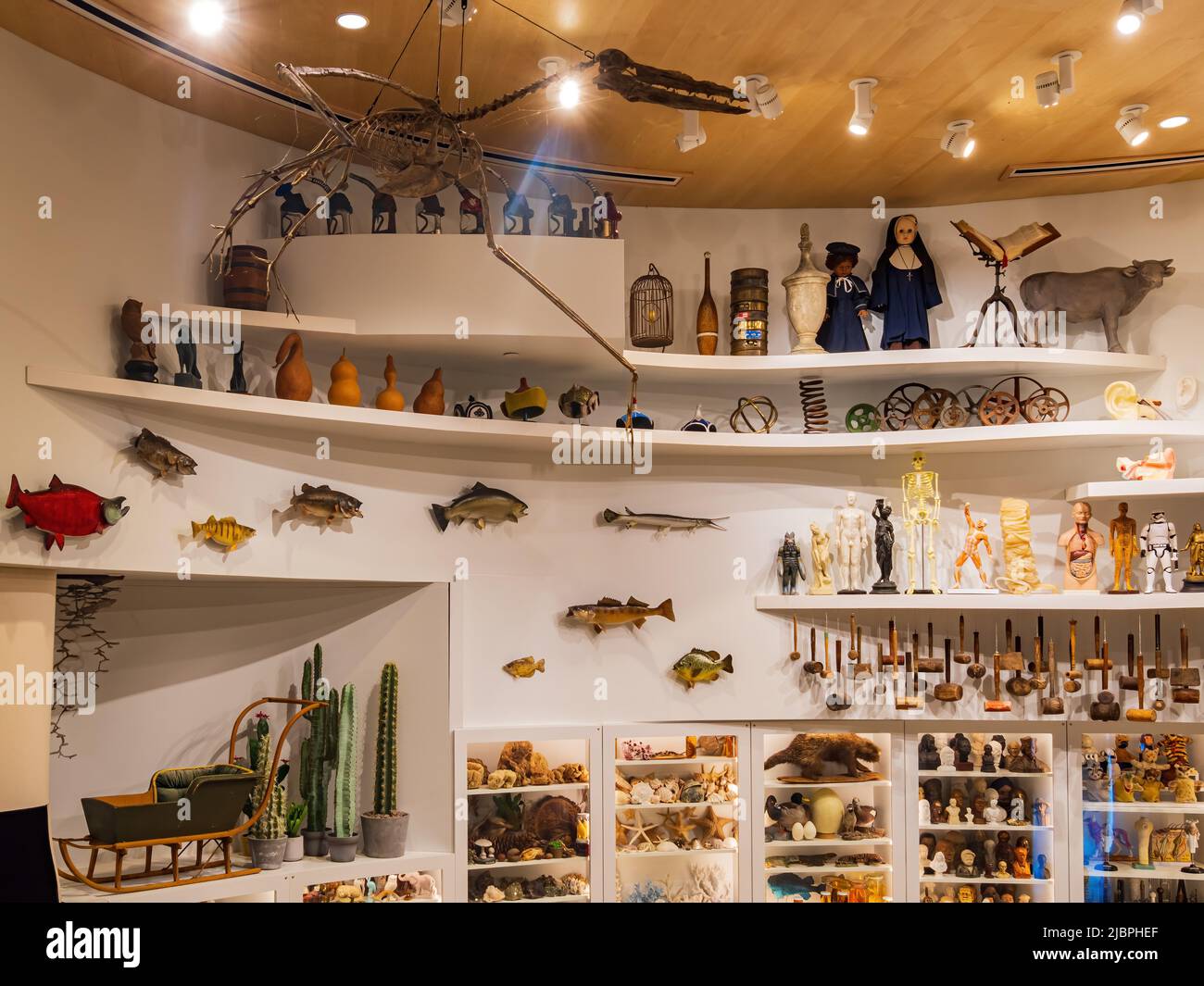 Fresh Look at Oklahoma May 28 2022 Interior View Of The Exhibition In