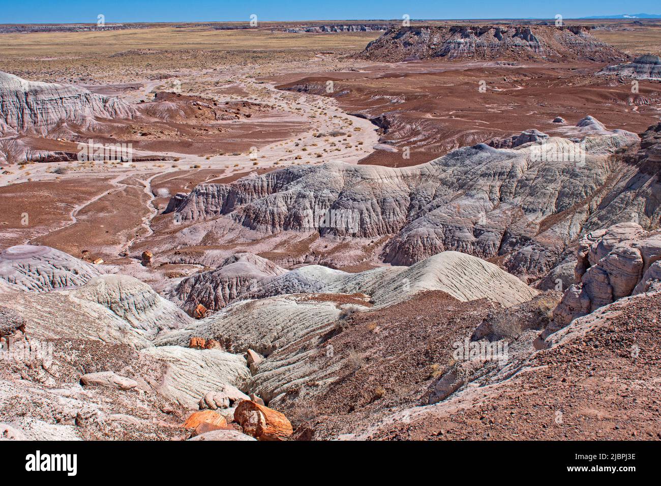 Looking Down Into a Canyon of Water Eroded Buttes in Petrified Forest National Park in Arizona Stock Photo