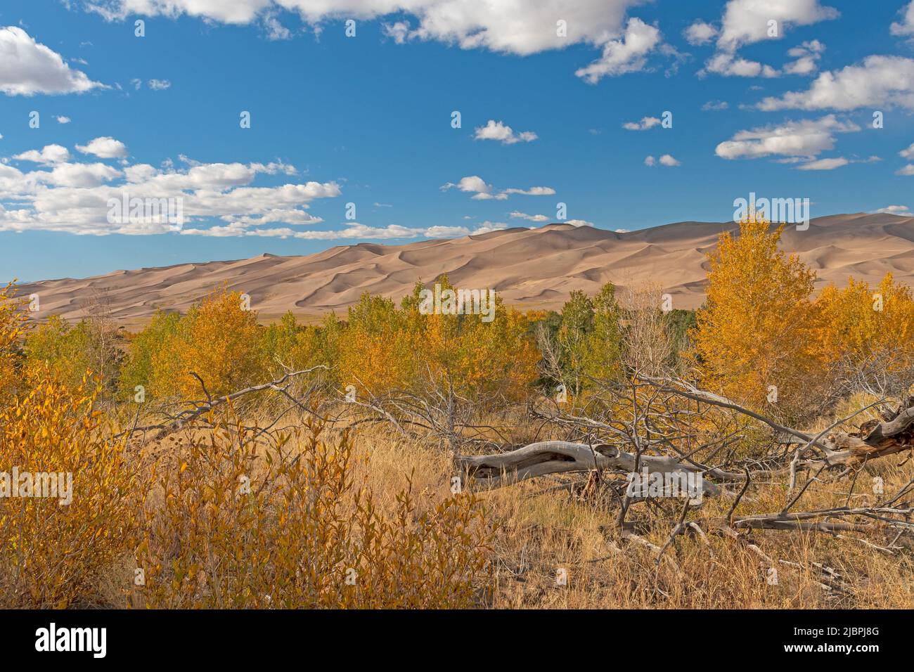 Sand Dunes Rising Out of the High Plains in Autumn in Great Sand Dunes National Park in Colorado Stock Photo