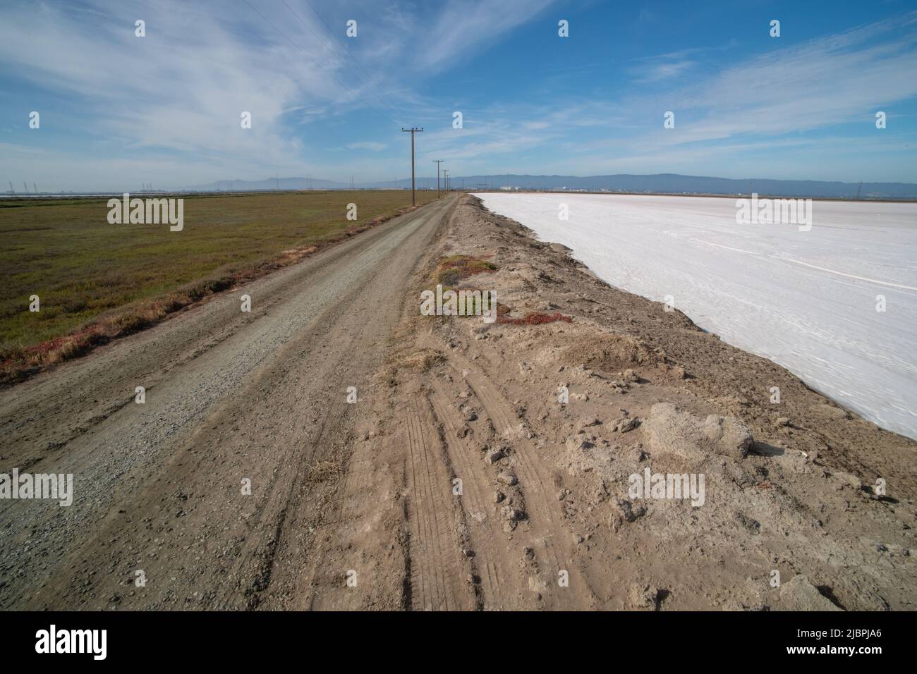 A dirt road leading away into the distance with saltmarsh on one side and fields of salt on the other. Stock Photo