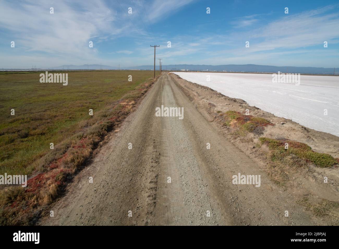 A dirt road leading away into the distance with saltmarsh on one side and fields of salt on the other. Stock Photo