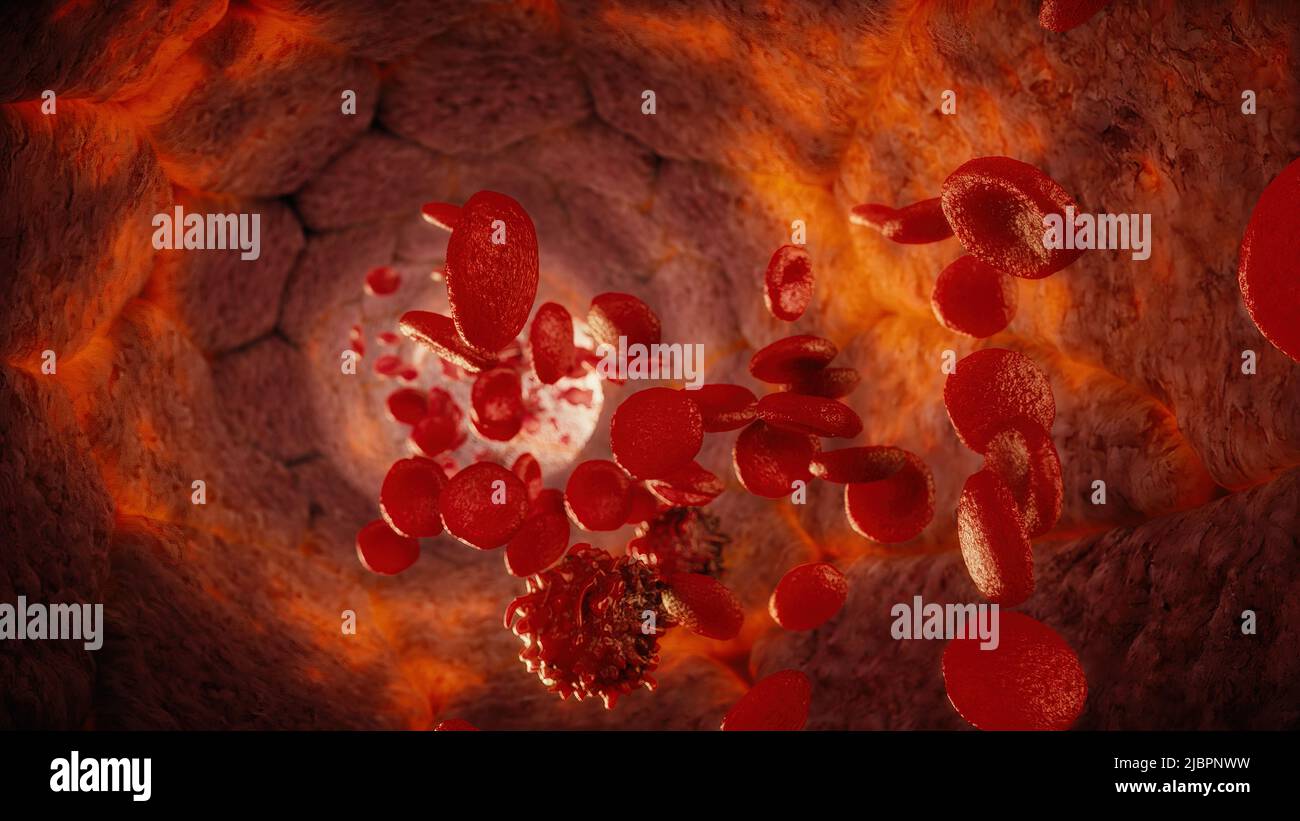 Red blood cells flowing through an artery, illustration Stock Photo - Alamy