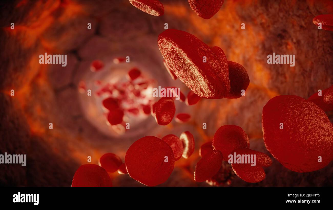 Red blood cells flowing through an artery, illustration Stock Photo - Alamy