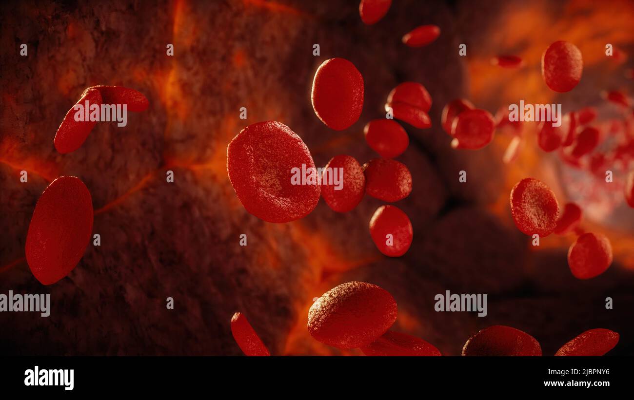 Red blood cells flowing through an artery, illustration Stock Photo - Alamy