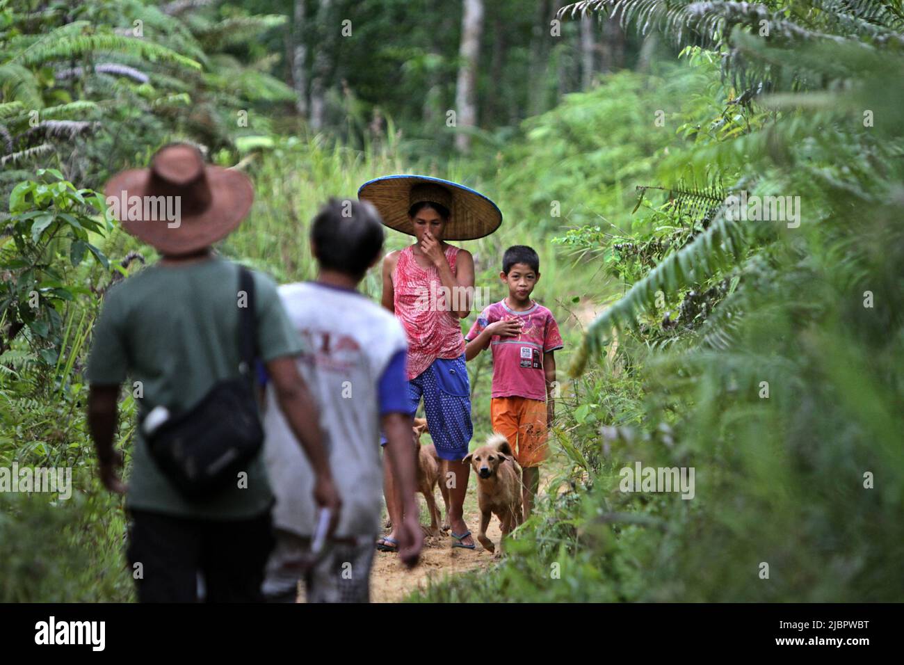 A woman with a child and dogs walking on a rural pathway, travelling in opposite direction to men during an ecotourism assessment in Nanga Raun village, Kalis, Kapuas Hulu, West Kalimantan, Indonesia. Stock Photo