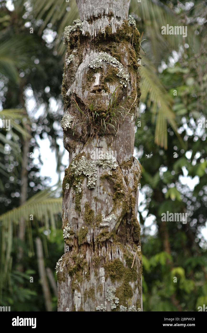 A totem pole in Nanga Raun village, Kalis, Kapuas Hulu, West Kalimantan, Indonesia. Stock Photo