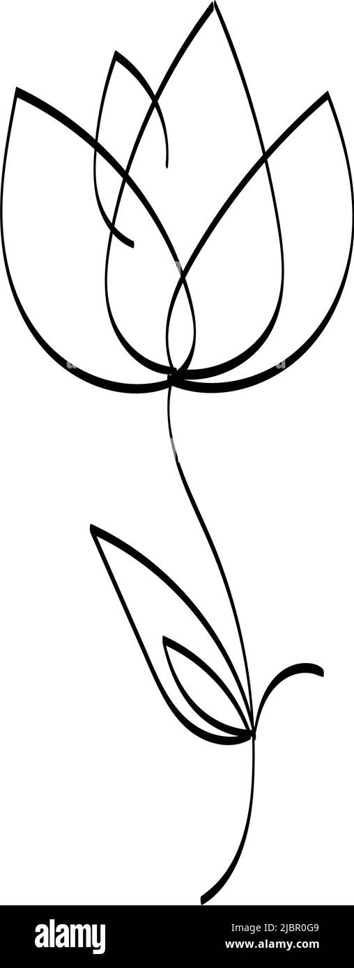 İllustration of Rose Tattoo Drawing Outline free image download