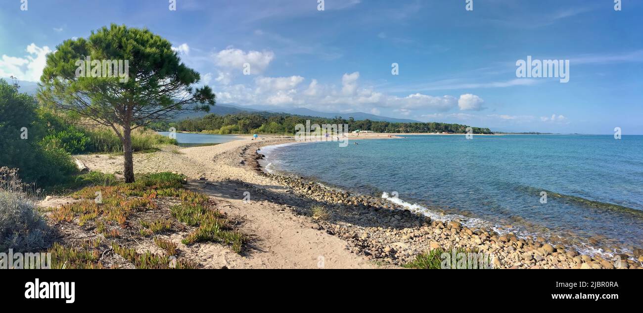 panoramic view ona Corsica  beach  with a pine tree -summer vacation Stock Photo