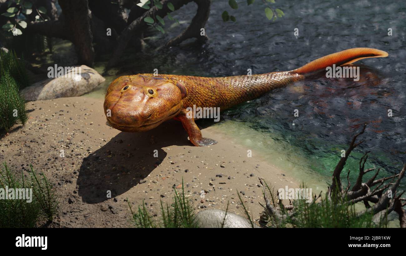 Tiktaalik, extinct walking fish, evolution of fourlegged animals (3d paleoart rendering Stock
