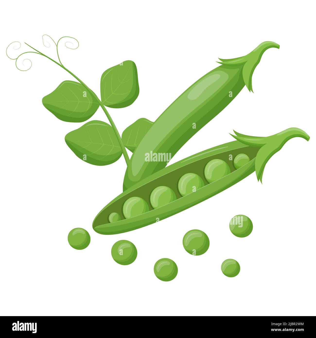 Cute green pea isolated on white background. Vegetarian food. Flat ...