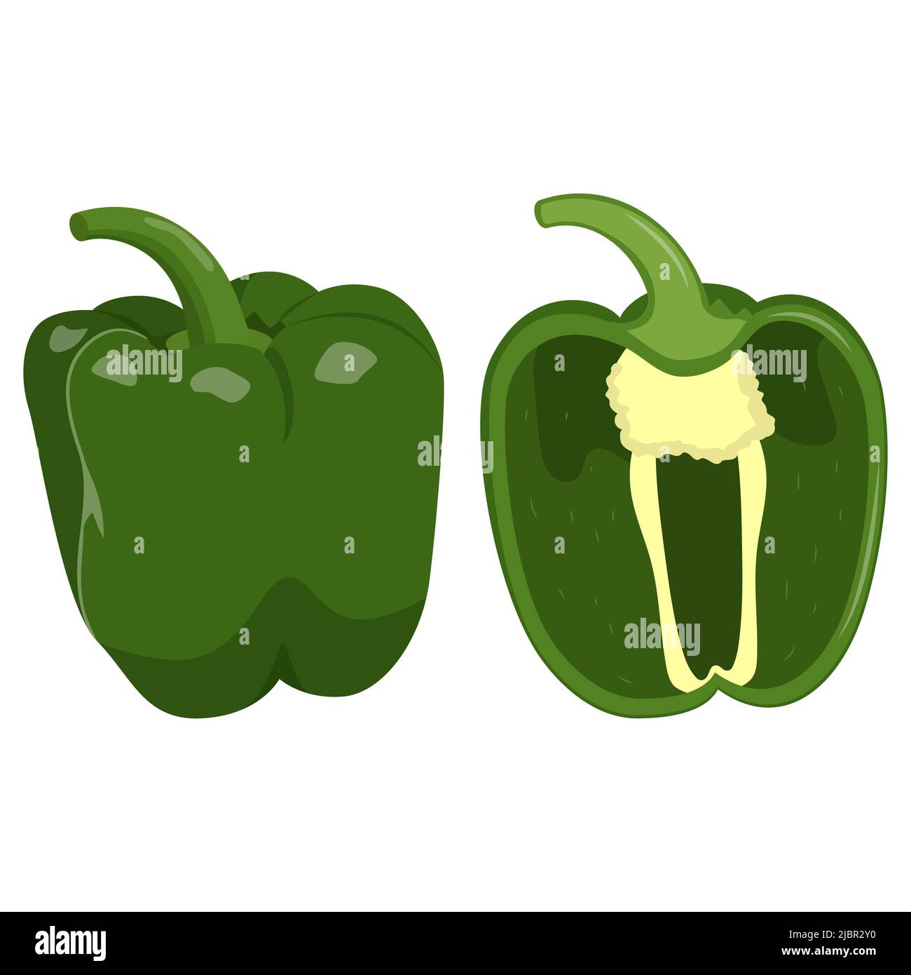 Cute green pepper isolated on white background. Flat vector ...