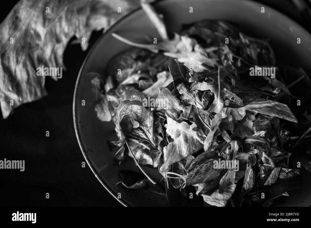 Purple lettuce Black and White Stock Photos & Images Alamy