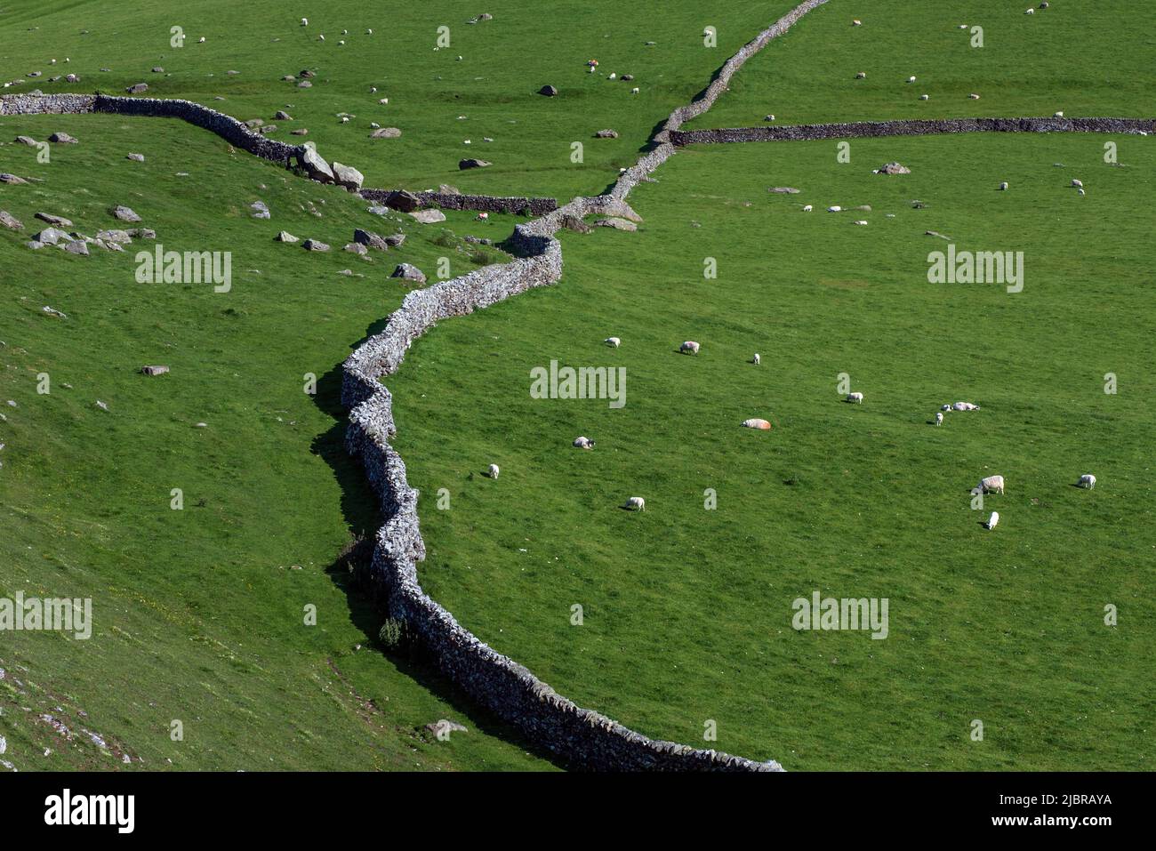 Field patterns at Norber near Austwick in The Yorkshire dales Stock Photo