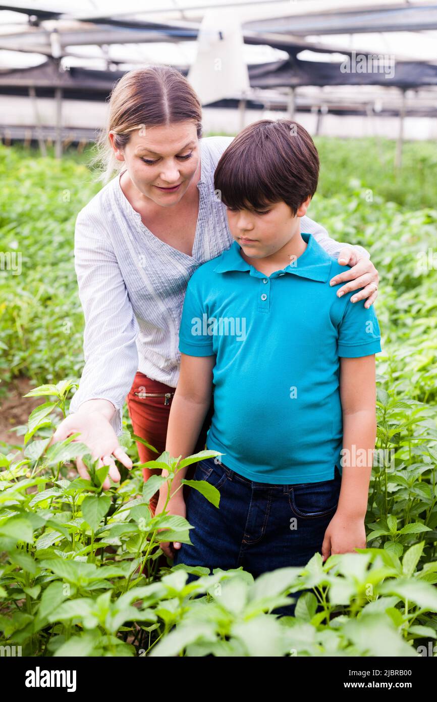 Female professional gardener with boy looking white jute herbs Stock Photo