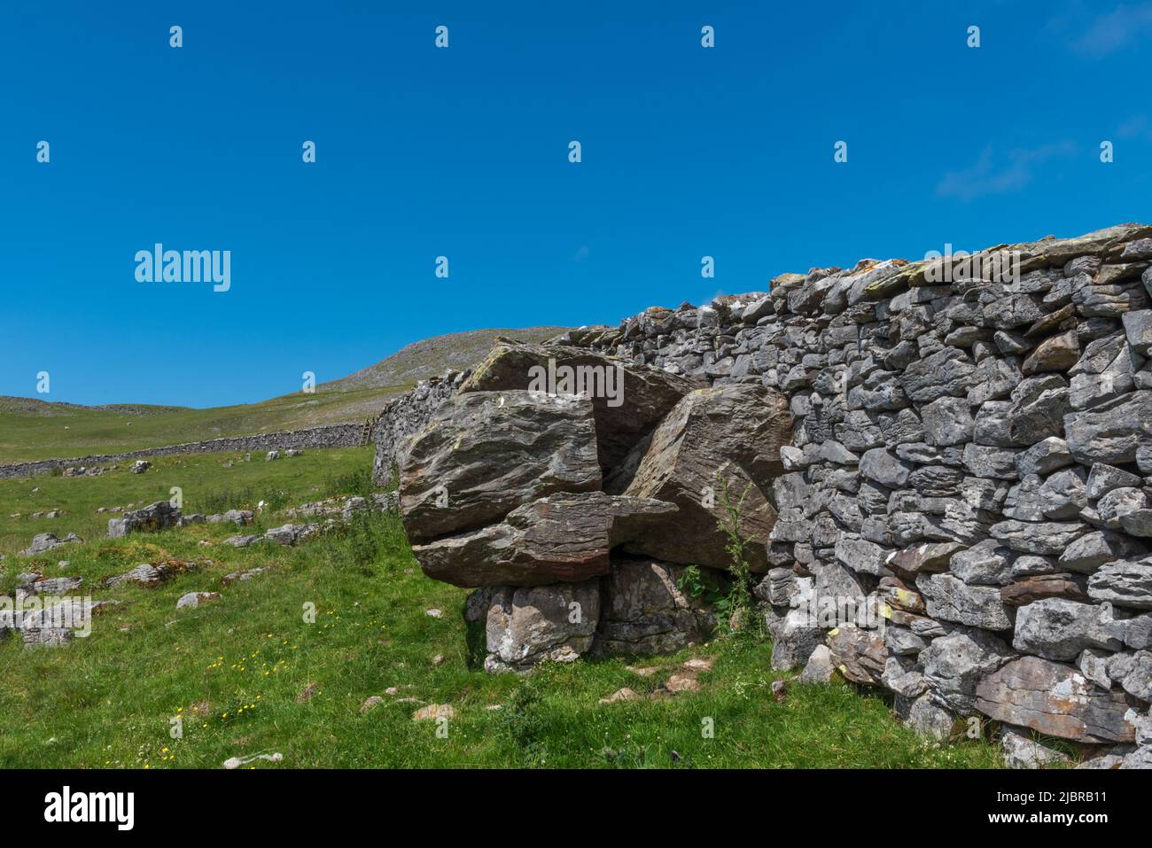 Erratic boulder built into a drystone wall at Norber near Austwick in the Yorkshire dales Stock Photo