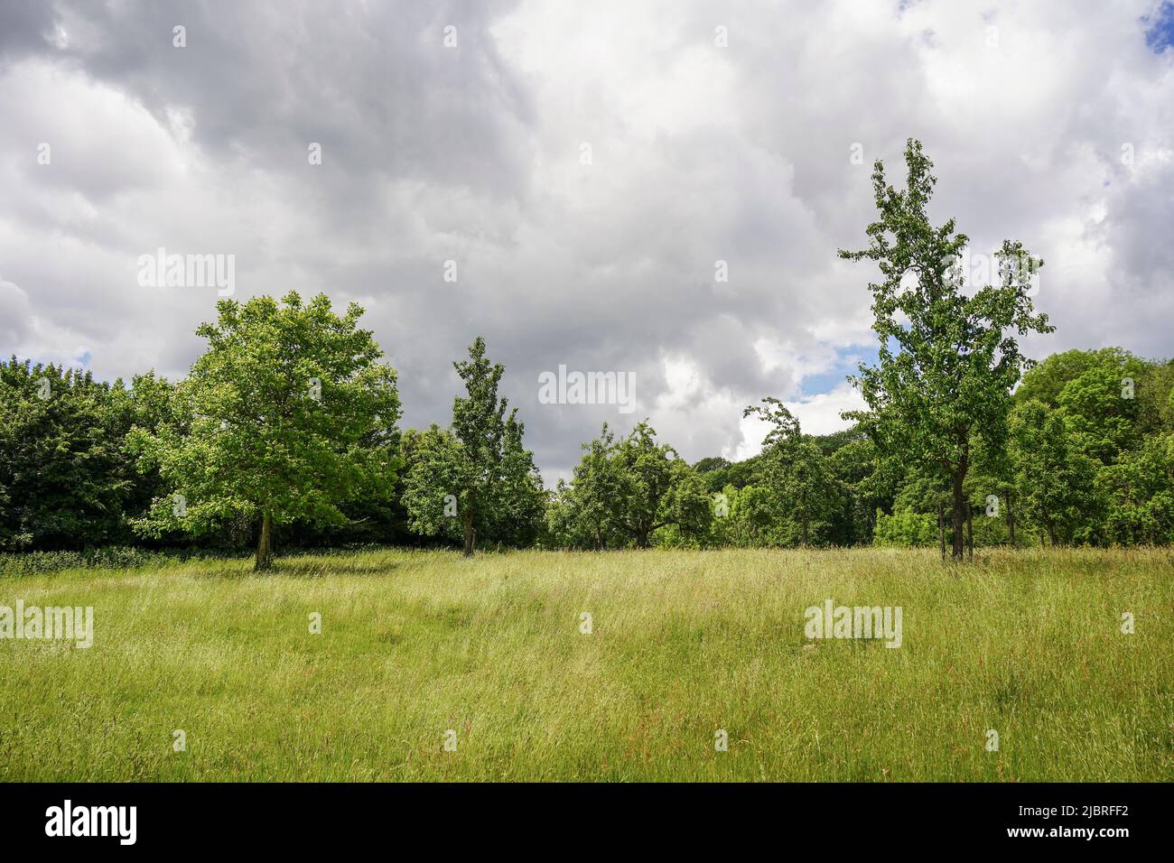 Nature reserve, and hiking area, with Chalk grassland, Gerendal, Limburg, South Netherlands. Stock Photo
