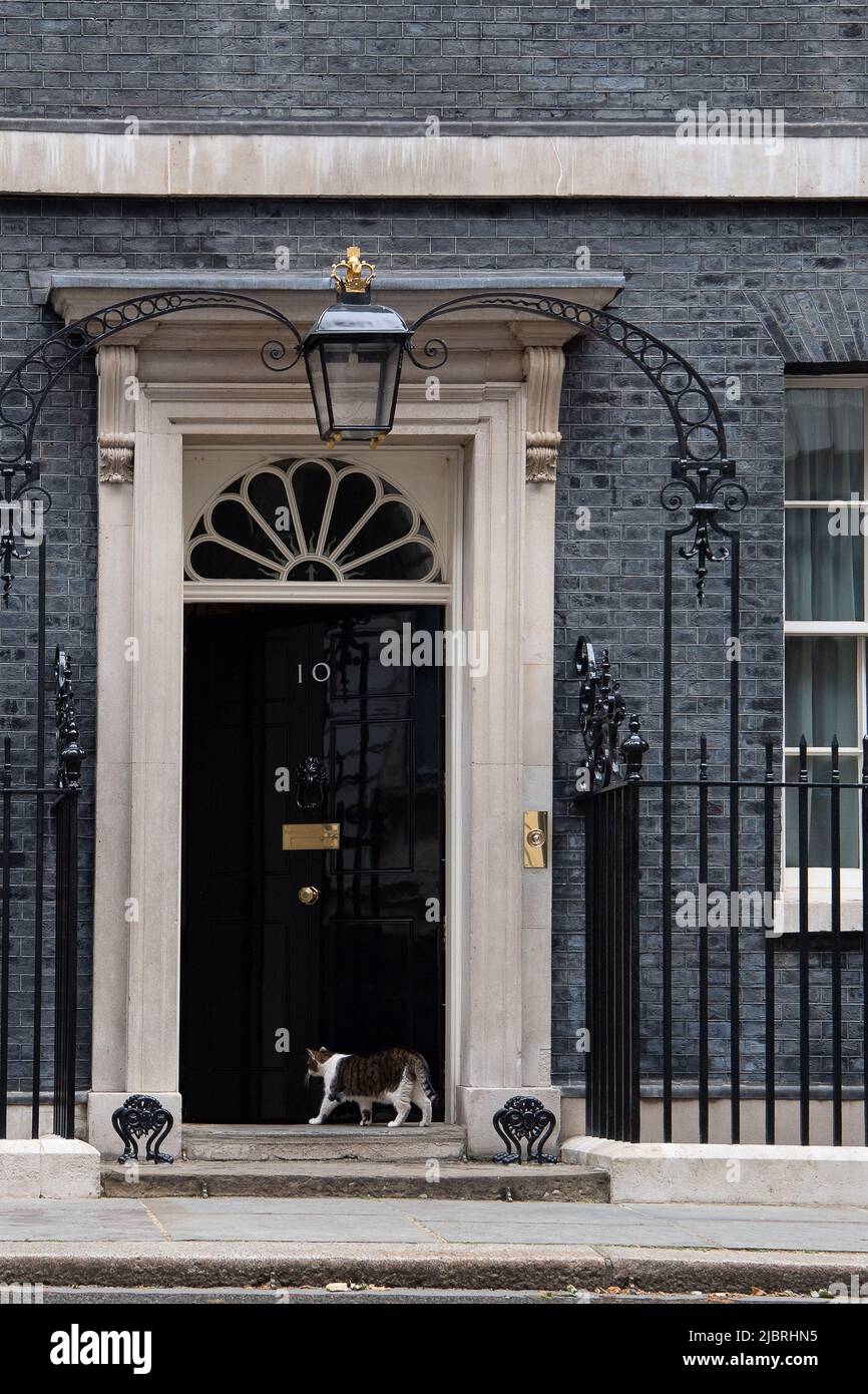 Whitehall, London, UK. 8th June, 2022. Larry the Cat makes an appearance outside Downing Street but decides to pop back inside No 10 for lunch. Credit: Maureen McLean/Alamy Live News Stock Photo
