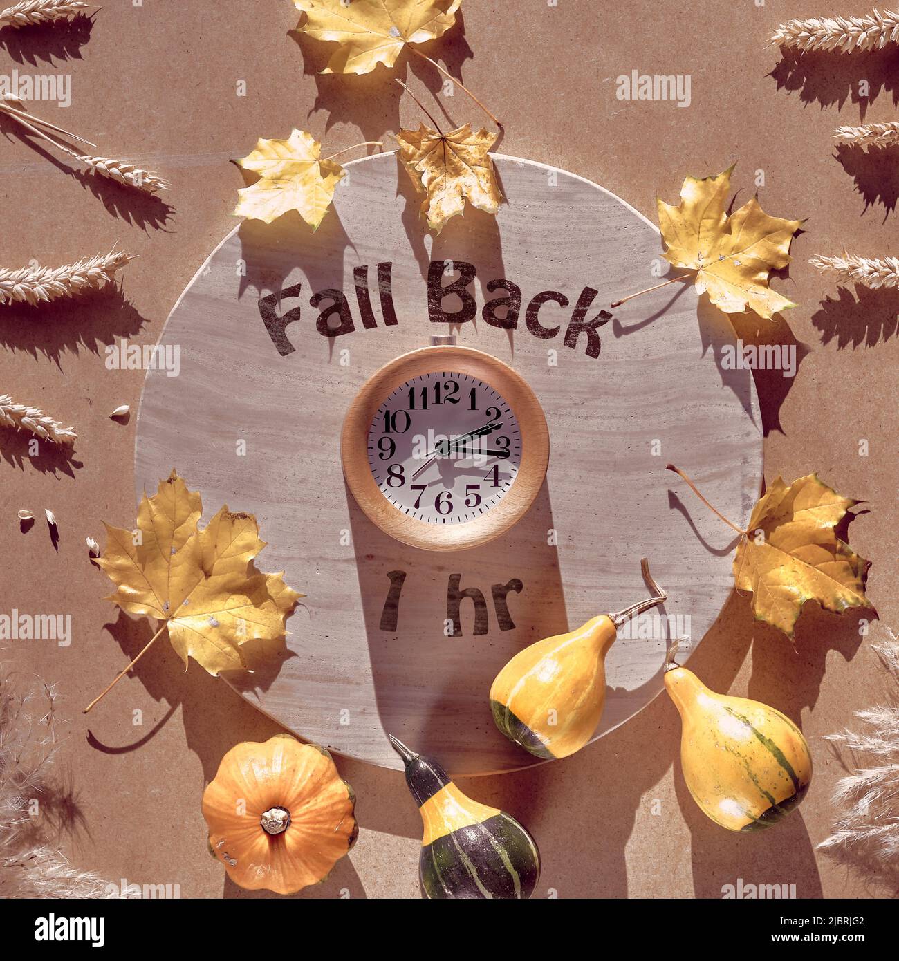 Time change in Autumn. Text Fall Back 1 hour on circle stone board