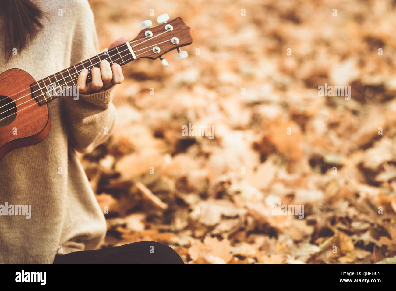Ukulele in woman hands closeup playing an acoustic instrument ukulele