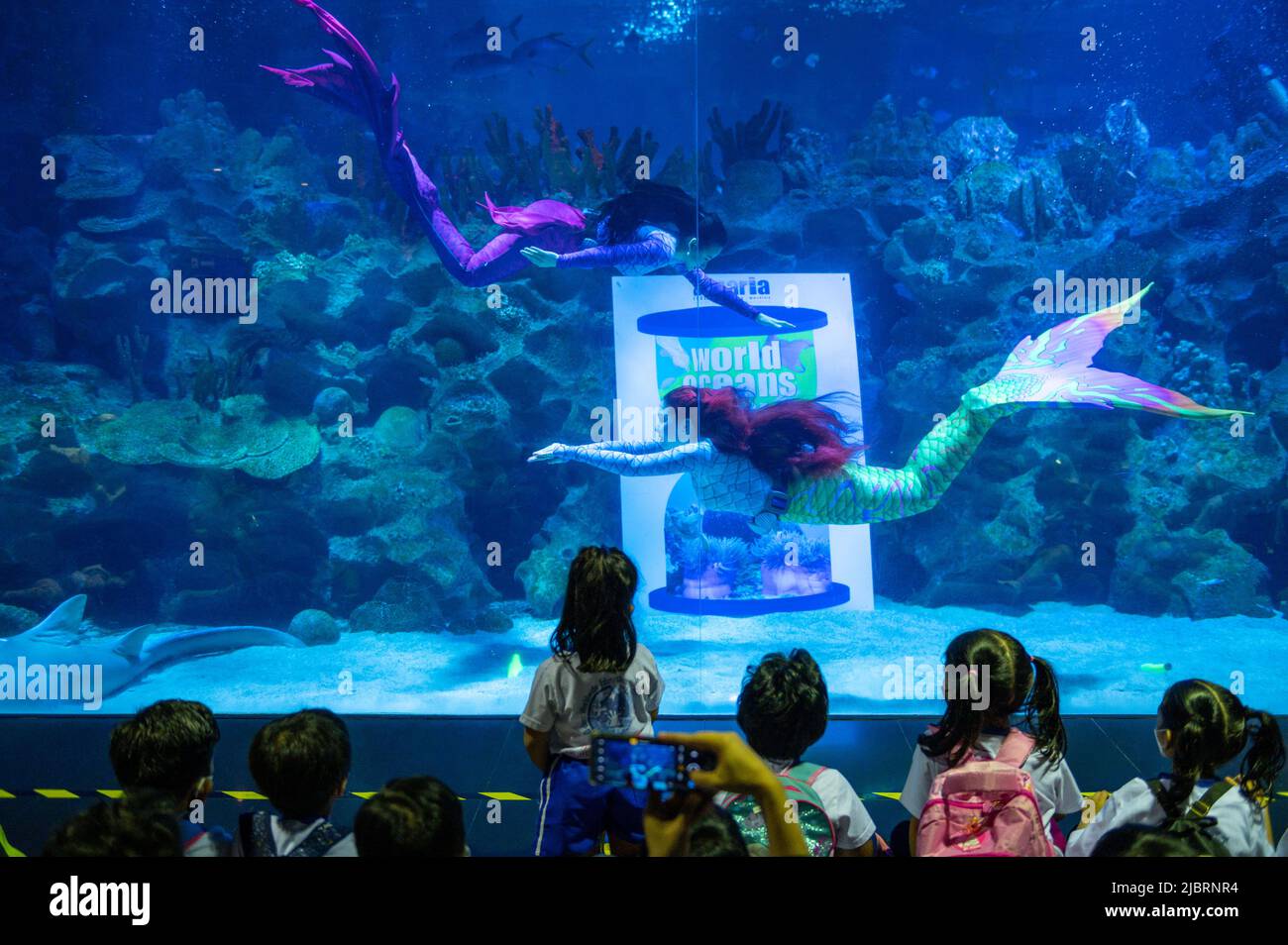 Aquaria Klcc Ticket Price 2022