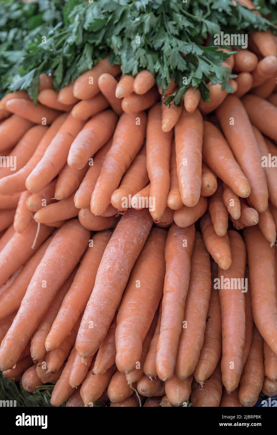 pile of carrots and parsleys at market Stock Photo