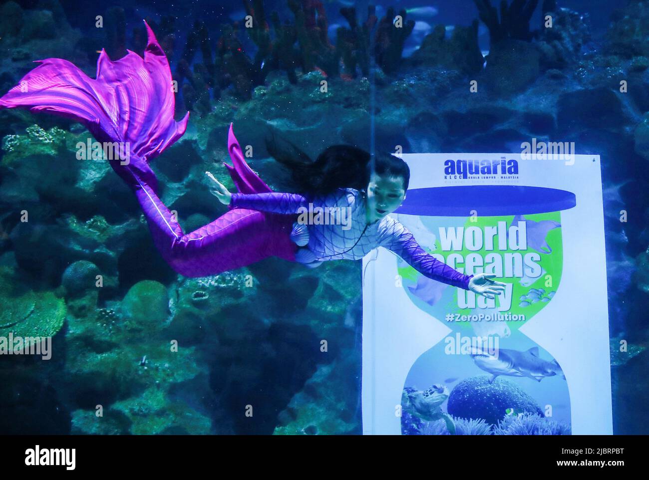 Kuala Lumpur, Malaysia. 08th June, 2022. A diver dressed as a mermaid performs in the main aquarium of Aquaria KLCC in celebration of the World Ocean Day in Kuala Lumpur. (Photo by Wong Fok Loy/SOPA Images/Sipa USA) Credit: Sipa USA/Alamy Live News Stock Photo