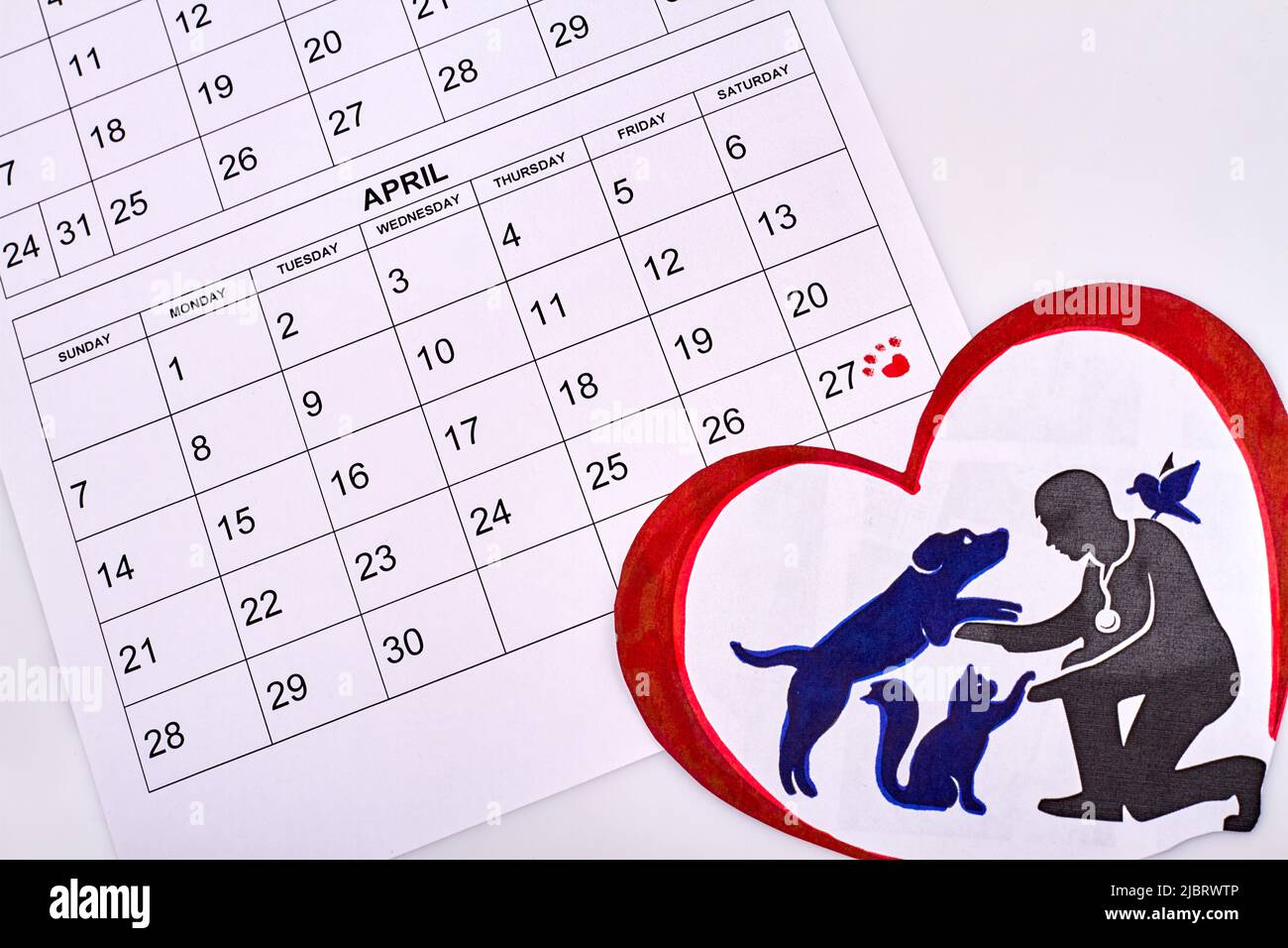 Animal rights day concept. Calendar with marked date. Silhouette of