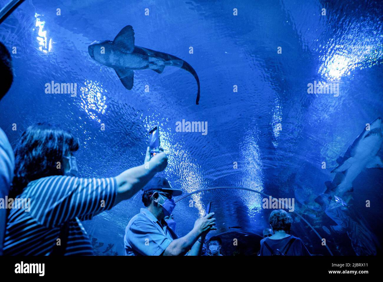 Kuala Lumpur, Malaysia. 08th June, 2022. Visitors to Aquaria KLCC enjoy the marine life on display in the main aquarium tunnel of Aquaria KLCC on the occasion of World Ocean Day in Kuala Lumpur. Credit: SOPA Images Limited/Alamy Live News Stock Photo