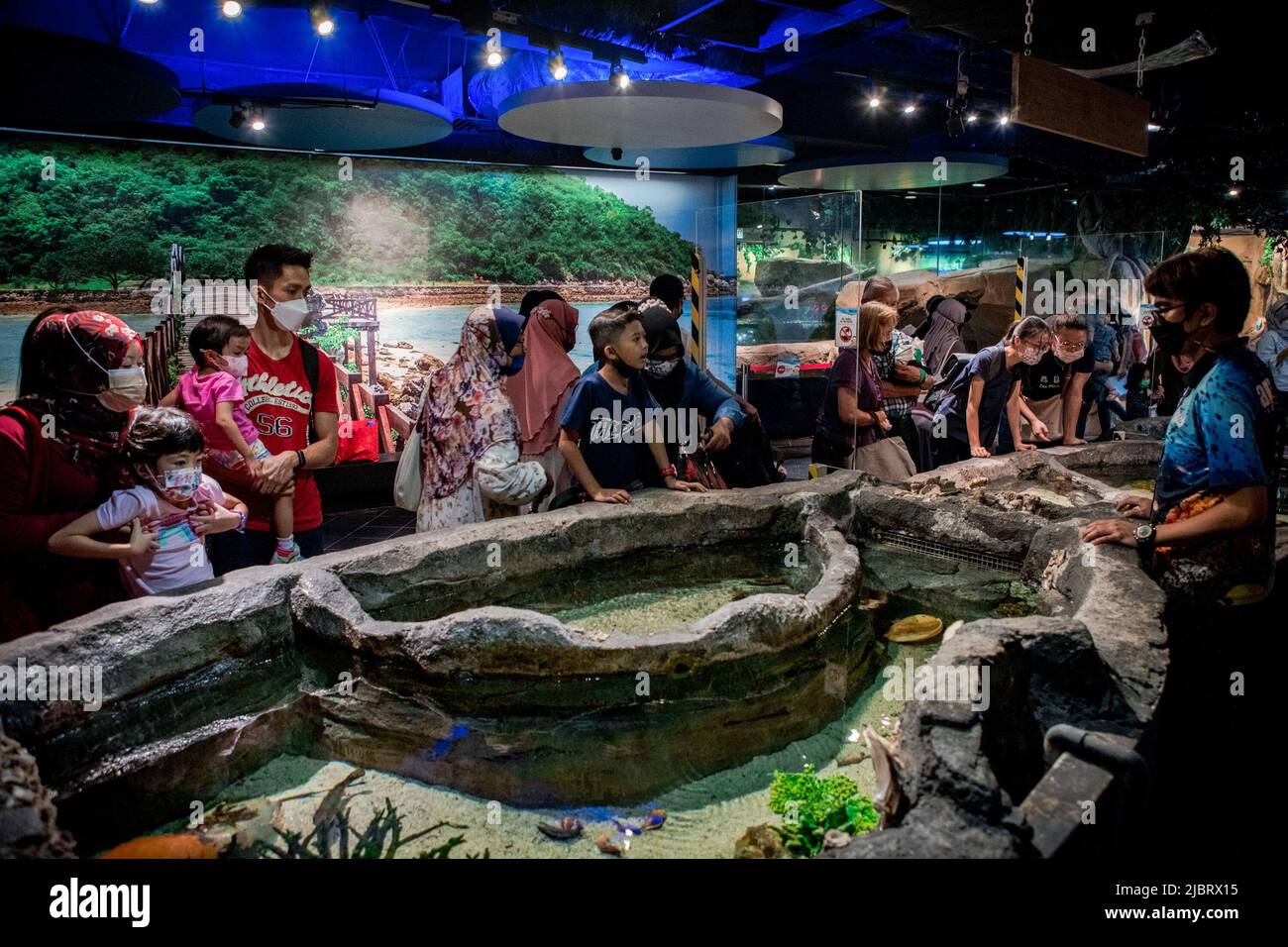 Kuala Lumpur, Malaysia. 08th June, 2022. Visitors to Aquaria KLCC enjoy the marine life on display on the occasion of World Ocean Day in Kuala Lumpur. Credit: SOPA Images Limited/Alamy Live News Stock Photo