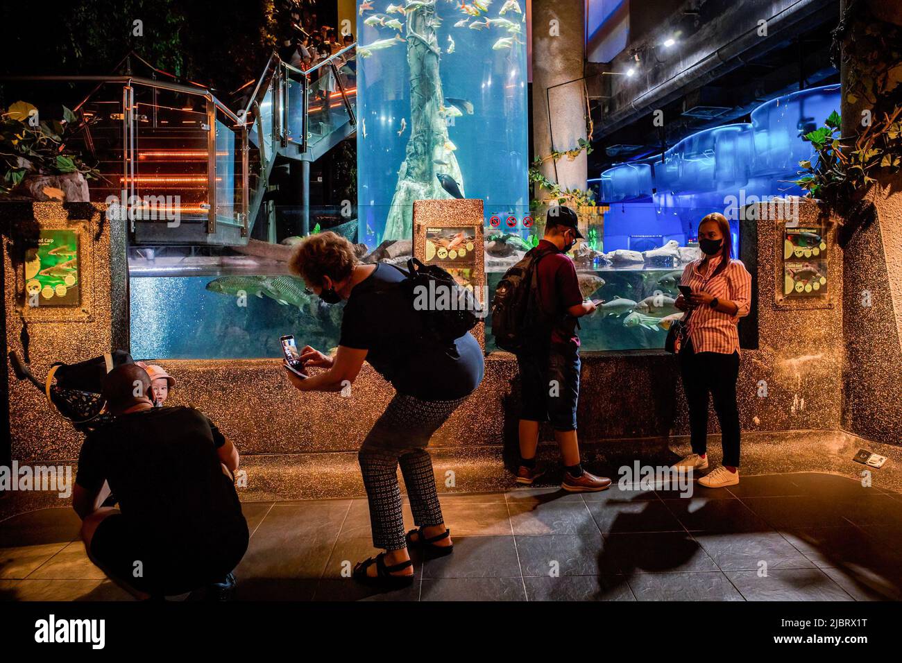 Kuala Lumpur, Malaysia. 08th June, 2022. Visitors to Aquaria KLCC enjoy the marine life on display at Aquaria KLCC on the occasion of the World Ocean Day in Kuala Lumpur. Credit: SOPA Images Limited/Alamy Live News Stock Photo