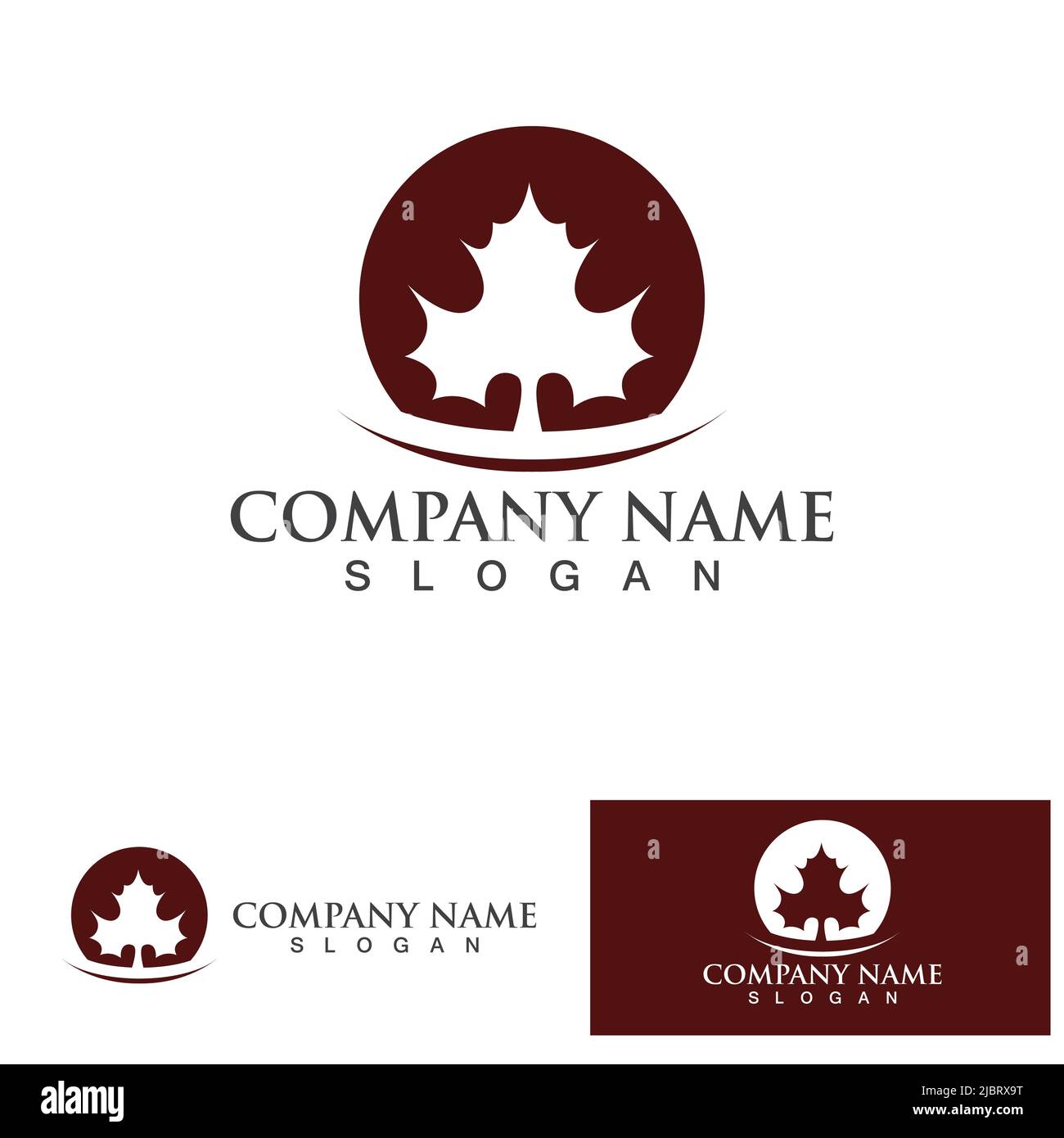 Japanese maple leaf illustration Stock Vector Images - Alamy