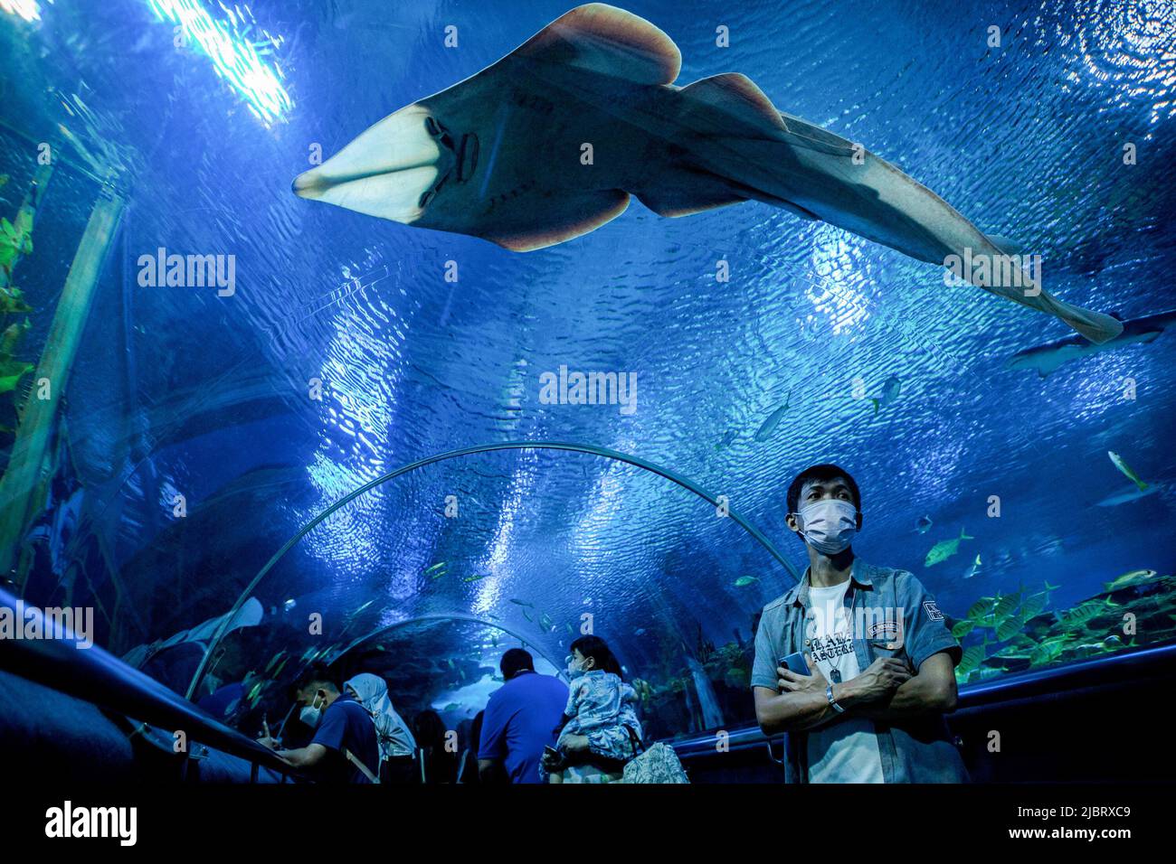 Kuala Lumpur, Malaysia. 08th June, 2022. Visitors to Aquaria KLCC enjoy the marine life on display in the main aquarium tunnel of Aquaria KLCC on the occasion of World Ocean Day in Kuala Lumpur. (Photo by Syaiful Redzuan/SOPA Images/Sipa USA) Credit: Sipa USA/Alamy Live News Stock Photo