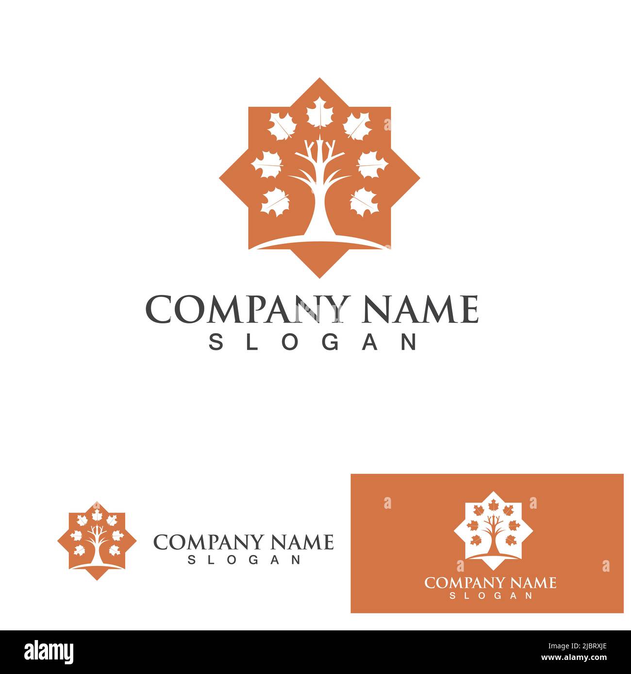 Maple leaf vector illustration design template Stock Vector Image & Art ...