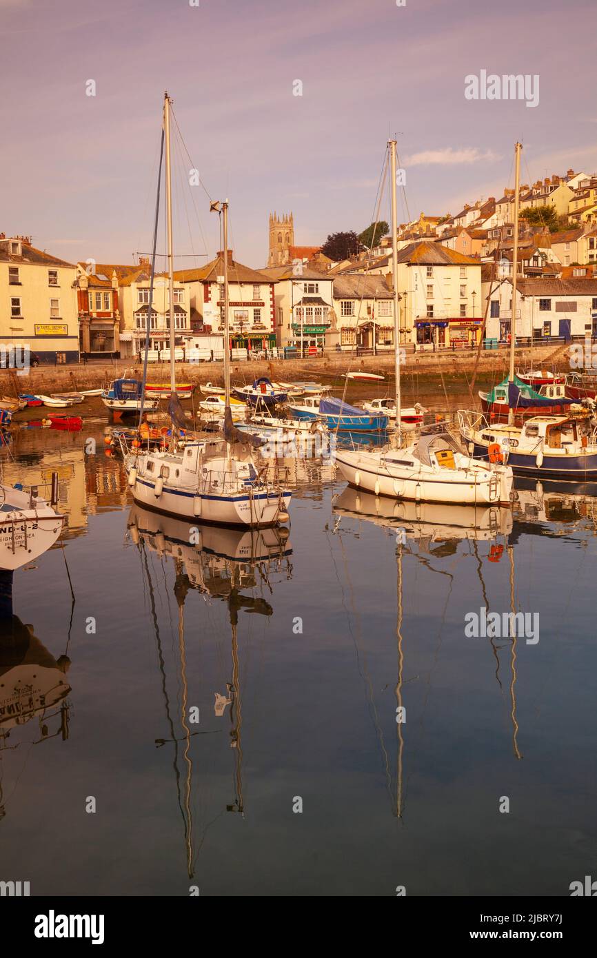 UK, England, Devon, Torbay, Brixham, Yachts moored in Brixham Harbour early in the Morning Stock Photo