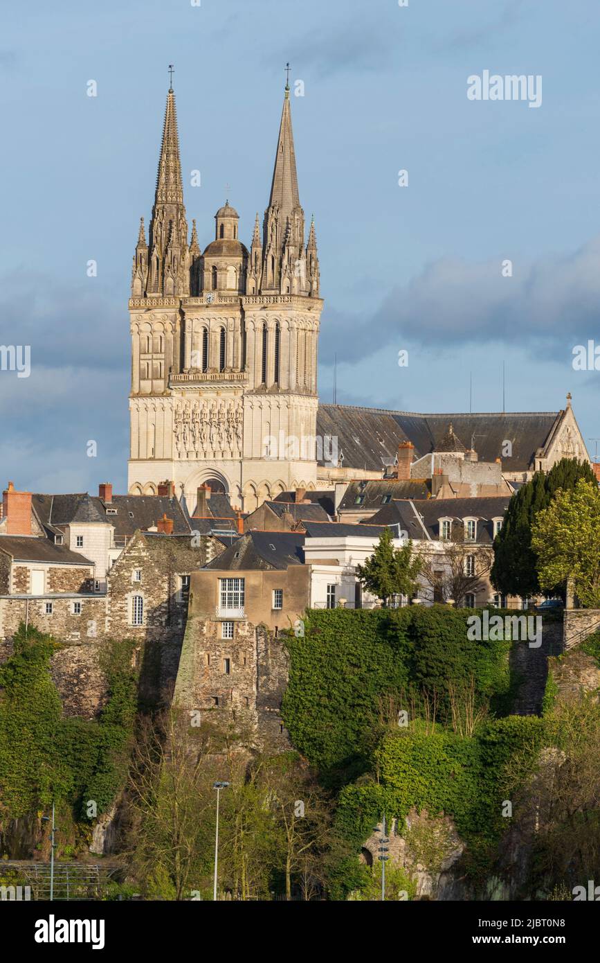 France, Maine et Loire, Angers, Saint Maurice cathedral Stock Photo