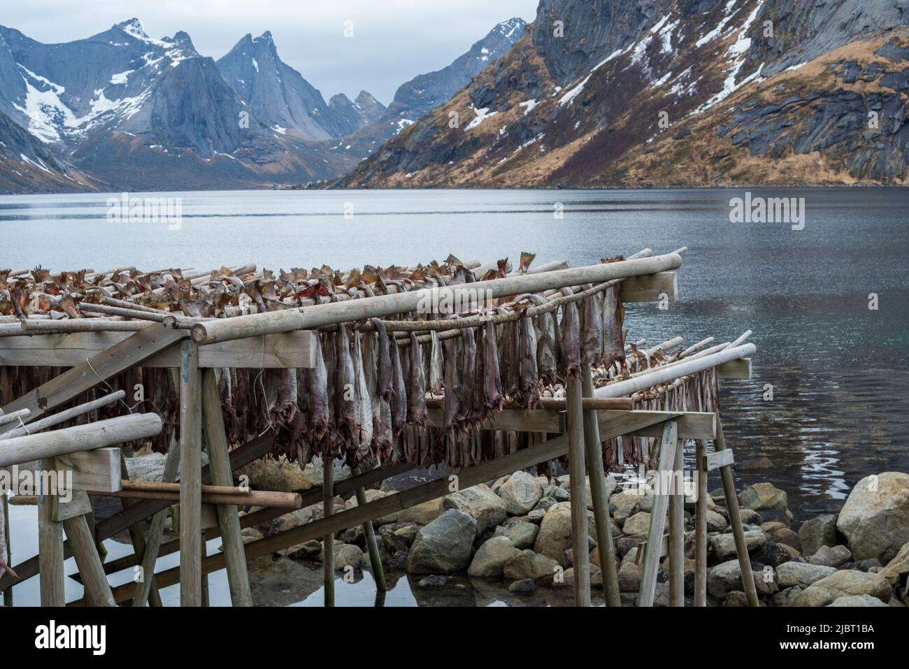 Norway, Nordland County, Lofoten Islands, Sakrisoy, drying fish Stock Photo