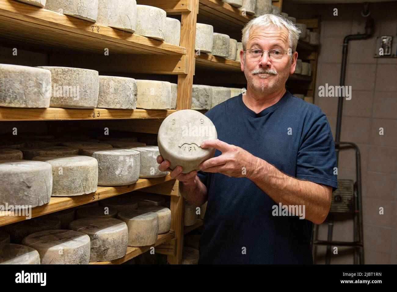 France, Pyrennees Atlantiques, Urugne, Ossau Irraty cheese Stock Photo