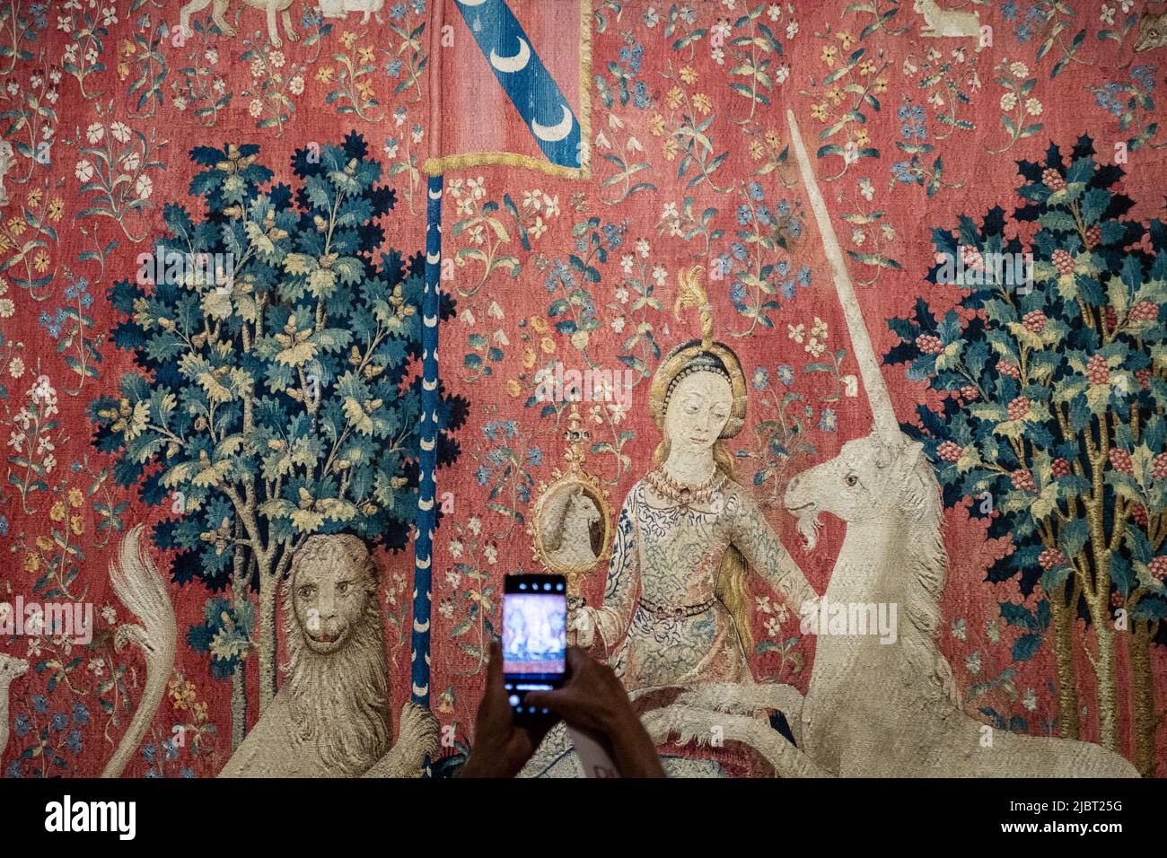 France, Paris, Cluny Museum National Museum of the Middle Ages