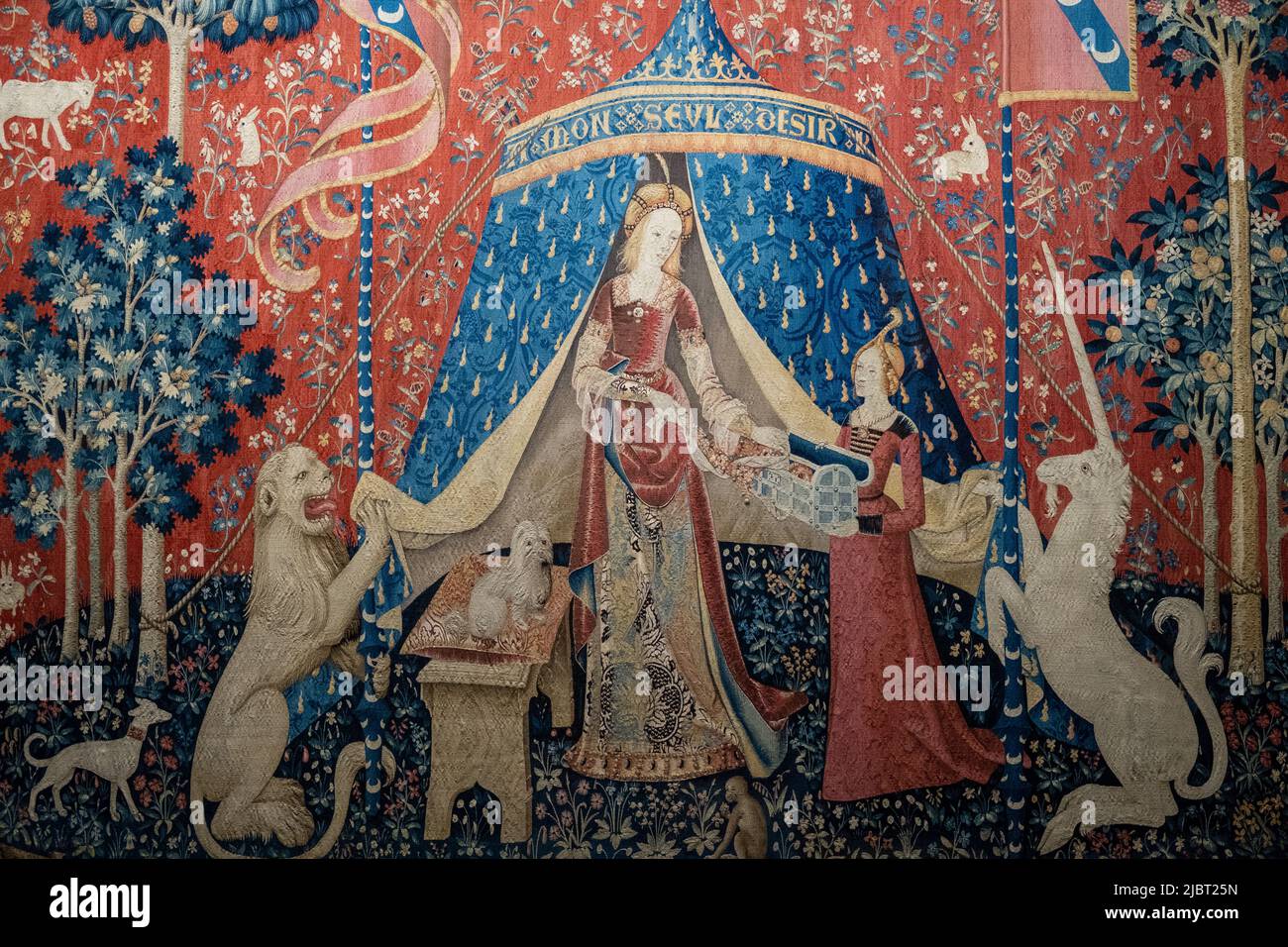 France, Paris, Cluny Museum National Museum of the Middle Ages