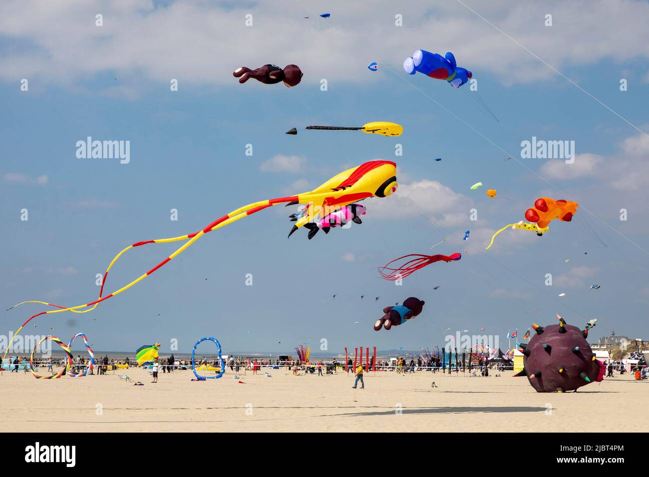 France, Pas de Calais, Berck sur Mer, Kite International Contest Stock Photo