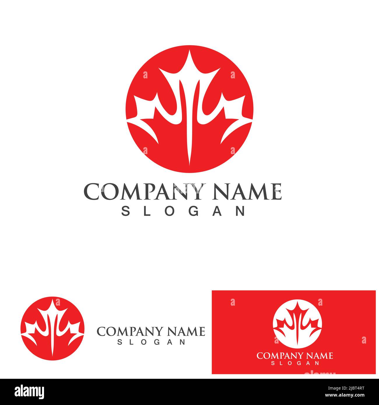 Maple leaf logo vector illustration design template Stock Vector Image ...
